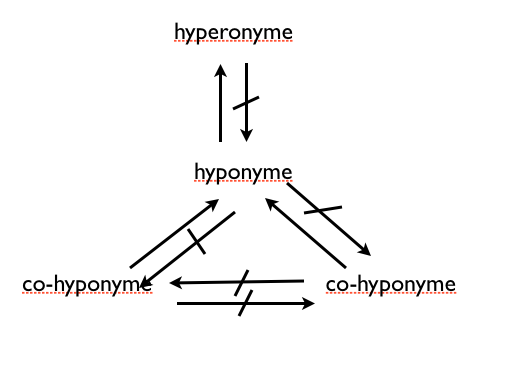 arbre_hyponymique2
