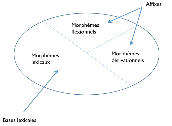 bases_lexicales_affixes