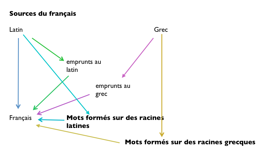 formation_savante