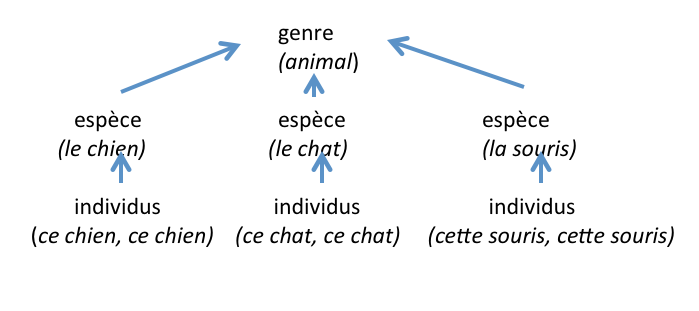 genre_espece