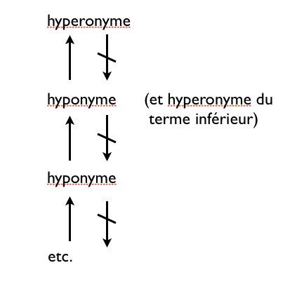 hyponymie_hyperonymie