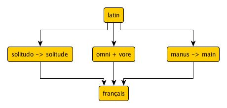 Du latin au français exemples