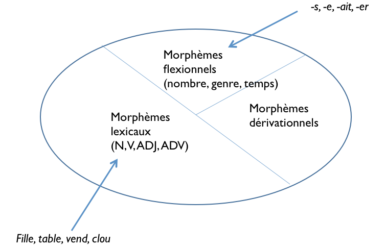 morphemes_flexionnels