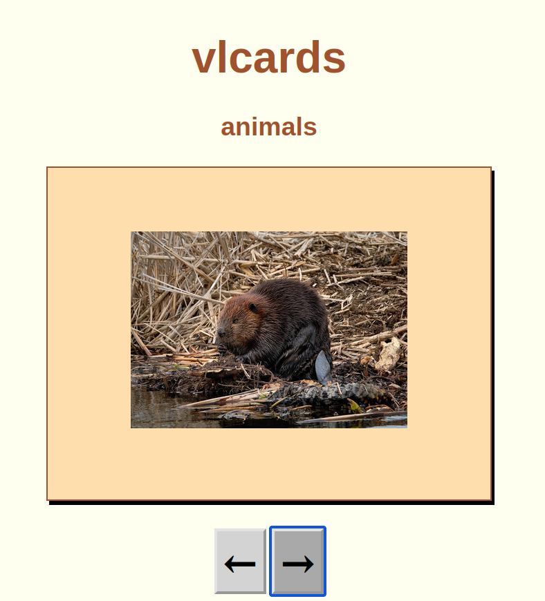 vlkcards back page of animals